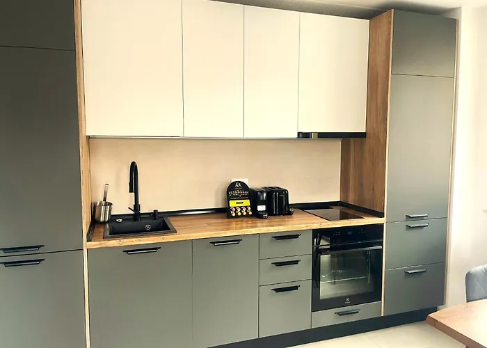 Modern Escape In Urban Plaza Apartment Brasov