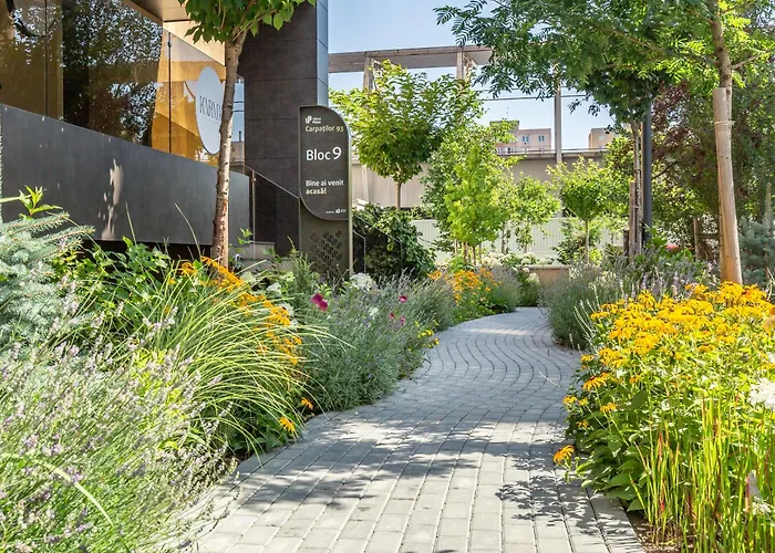 Cosy Urban Plaza Brașov